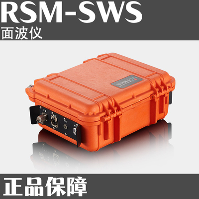 RSM-SWS 面波仪