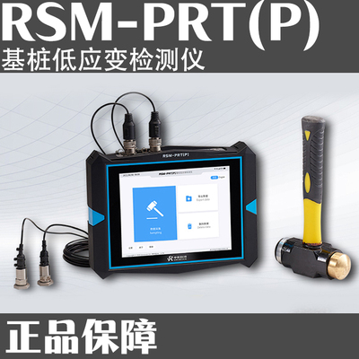 RSM-PRT(P) 基桩低应变检测仪