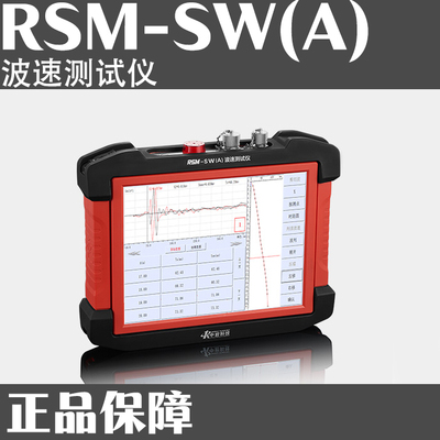 RSM-SW(A) 波速测试仪